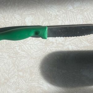 Chicago Cutlery 4-Inch Serrated Blade Steak Knife Green Handle